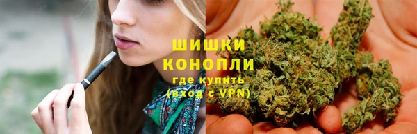 ПСИЛОЦИБИНОВЫЕ ГРИБЫ Медногорск