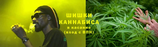 ПСИЛОЦИБИНОВЫЕ ГРИБЫ Медногорск