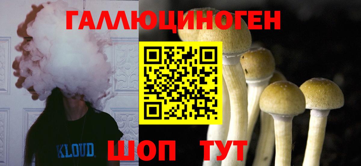 Сызрань  Псилоцибиновые грибы прущие грибы  Вход с VPN 